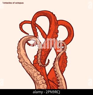 Red octopus tentacles reaching upwards, squid-like marine animal body parts protruding from out of frame, cut for food or frame design, cartoon sketch Stock Vector