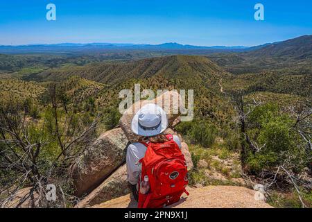 A woman named Rachael Hurst watches the forest landscape on the horizon. On a rock her travel backpack. During the expedition, biologists and scientists from MEX and the USA from different disciplines of biological sciences and personnel from the AJOS-BAVISPE CONANP National Forest Reserve and Wildlife Refuge, in the Sierra Buenos Aires carry out the Madrean Diversity Expedition (MDE) in Sonora Mexico. Conservation , Nature (© Photo by Luis Gutierrez / Norte Photo)  Una mujer de nombre Rachael Hurst observa el paisaje de bosque  en el horizonte. Sobre una roca su mochila de viaje. Durante expe Stock Photo