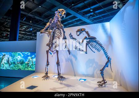 Houston, Texas - April 7, 2023: Dinosaur exhibits at the Houston Museum of Natural Science. Stock Photo