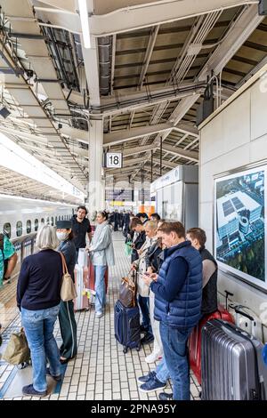 April 2023, passengers wait to board the green carriage car 8 of the bullet train Shinkansen at the platform Tokyo railway station, Japan Stock Photo