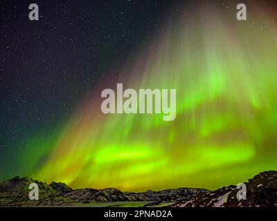 Aurora Borealis, Northern Lights, Tasiilaq, Ammassalik Island, Kommuneqarfik Sermersooq, East Greenland, Greenland Stock Photo