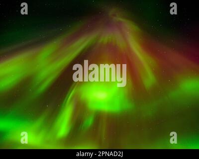 Aurora Borealis, Northern Lights, Tasiilaq, Ammassalik Island, Kommuneqarfik Sermersooq, East Greenland, Greenland Stock Photo