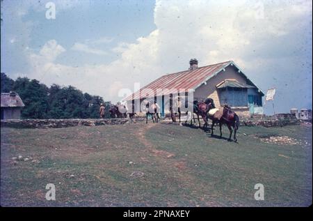 Dakoli is a small Village/hamlet in Chaupal Tehsil in Shimla District of Himachal Pradesh State, India. It comes under Dhakoli Panchayath. Stock Photo