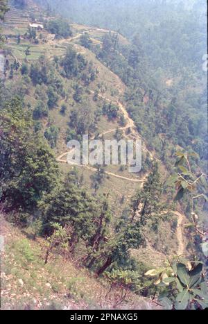 Tucked away in the Pindari valley in the Kumaon Himalayas, Khati is a ...