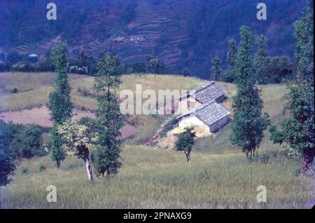 Small village on the Kumaon Hills, terraced fields can be seen around ...