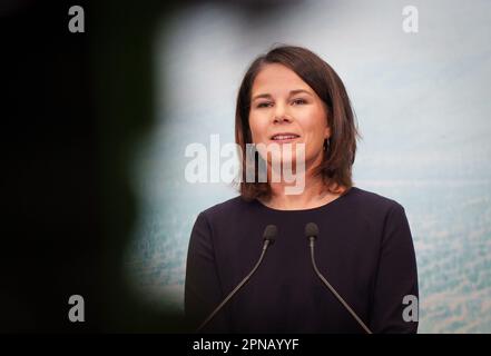 Karuizawa, Japan. 17th Apr, 2023. Foreign Minister Annalena Baerbock (Bündnis 90/Die Grünen) gives a statement during the meeting of G7 foreign ministers at the Karuizawa Prince Hotel this evening. Credit: Soeren Stache/dpa/Alamy Live News Stock Photo