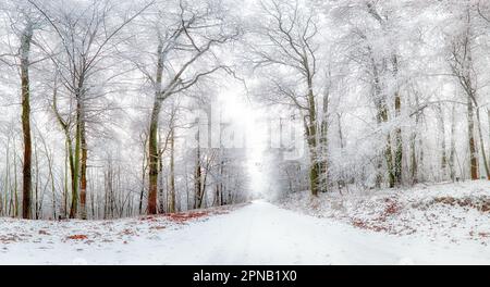 Winter landscape. Winter road and trees covered with snow Stock Photo