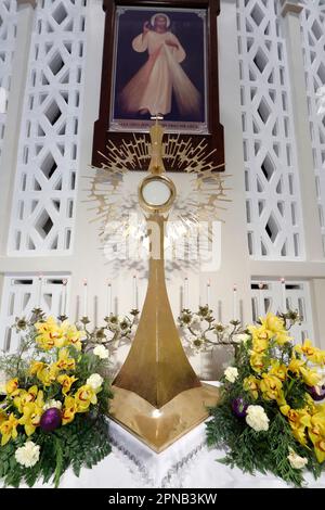 Church of the Sacred Heart of Jesus ( Nha Tho Tan Dinh ). The Holy Sacrament. Eucharistic adoration. Jesus as The Divine Mercy.  Ho Chi Minh City. Vie Stock Photo