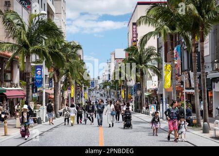 【経歴】 Naha Kokusai Dori Shopping Street 2026年最新芸能速報 #698