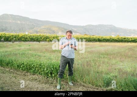 Bearded mature focused male farmer in casual clothes looking at screen while browsing on mobile phone standing near green meadow in mountainous countr Stock Photo