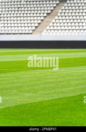 Empty stadium with white chairs in tribune and the green lawn grass Stock Photo