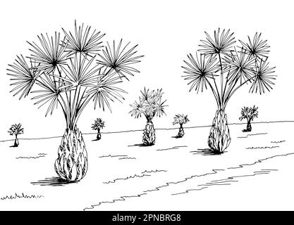 Palm grove plantation graphic black white landscape sketch illustration vector Stock Vector