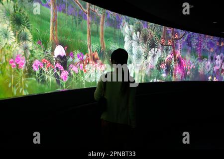 The National Museum of Singapore.  Story of the Forest created by the renowned Japanese digital art collective teamLab.  Singapore. Stock Photo