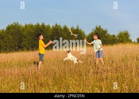 Kids playing with family pet dog outdoor in meadow on summer day Stock Photo