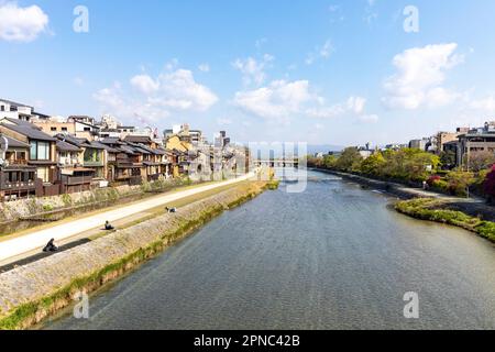 Kyoto Japan April 2023, spring weather River Kamogawa (Kawo 