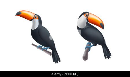 Toucan on a tree branch 3d render illustration isolated set, two birds position. Realistic national bird of Belize. Stock Vector
