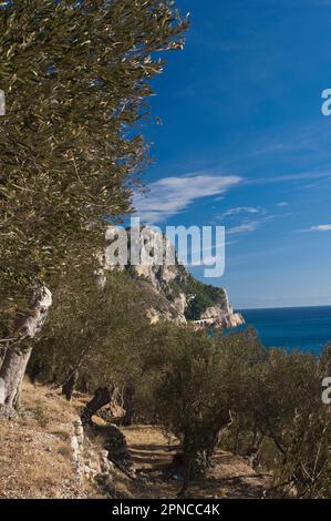 Excursion to the Capo Noli traffic light, climbing from Varigotti. View on Capo Noli. Noli, Savona, Liguria, Italy Stock Photo