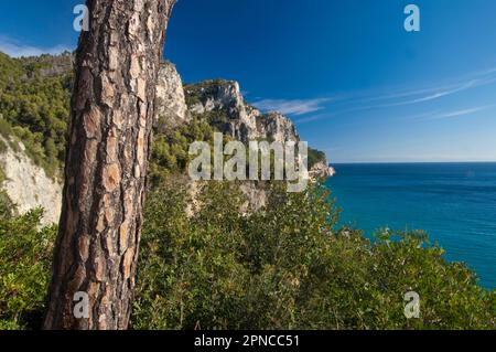 Excursion to the Capo Noli traffic light, climbing from Varigotti. View on Capo Noli. Noli, Savona, Liguria, Italy Stock Photo