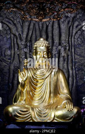 Chua Ho Quoc pagoda. Siddhartha Gautama, the Shakyamuni Buddha. Buddha sitting in the meditation pose. Bodhi tree. Phu Quoc. Vietnam. Stock Photo