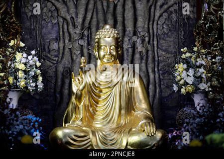 Chua Ho Quoc pagoda. Siddhartha Gautama, the Shakyamuni Buddha. Buddha sitting in the meditation pose. Bodhi tree. Phu Quoc. Vietnam. Stock Photo