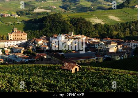 Barolo, around the town a beautiful but man-made land characterized by vineyards, is the Langa, Cuneo, Piedmont, Italy, Europe, UNESCO, World Heritage