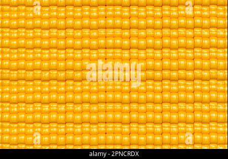 3D rendering - High resolution image Corn seeds template isolated on white background, high quality Stock Photo