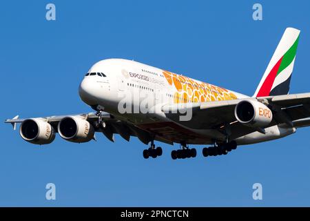 Emirates Airlines Airbus A380 passenger airliner on Frankfurt Airport. Frankfurt, Germany - September 11, 2019: Stock Photo