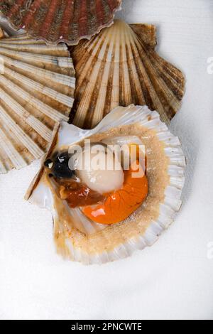 Very fine molluscs with a sweet and delicate flavor scallops are