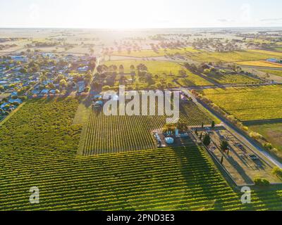 Coonawarra Landscape near Penola in Australia Stock Photo