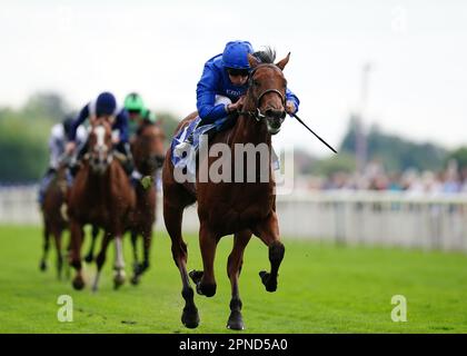 File photo dated 19-08-2022 of Noble Style ridden by William Buick. Noble Style is set to miss Saturday's Watership Down Stud Too Darn Hot Greenham Stakes, with trainer Charlie Appleby favouring a racecourse gallop at Newmarket over a run in soft ground at Newbury. Issue date: Tuesday April 18, 2023. Stock Photo