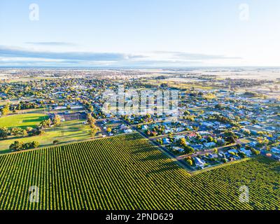 Coonawarra Landscape near Penola in Australia Stock Photo