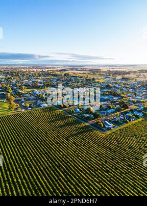 Coonawarra Landscape near Penola in Australia Stock Photo