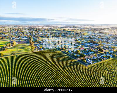 Coonawarra Landscape near Penola in Australia Stock Photo