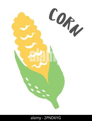 Set of 2 corn cobs drawing hand painted with ink brush isolated on white background. Vector illustration Stock Vector