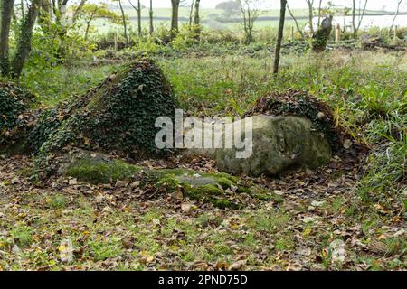 A stone statue, The Mudmaid, at The Lost Gardens of Helligan on the 30th October 2022 in Pentewan, Cornwall, England. Credit: SMP News Stock Photo