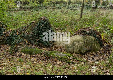 A stone statue, The Mudmaid, at The Lost Gardens of Helligan on the 30th October 2022 in Pentewan, Cornwall, England. Credit: SMP News Stock Photo