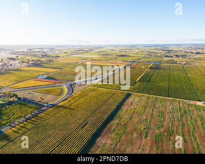 Coonawarra Landscape near Penola in Australia Stock Photo