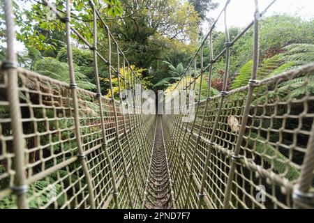 A rope bridge in the Lost Gardens of Helligan on the 30th October 2022 in Pentewan, Cornwall, England. Credit: SMP News Stock Photo