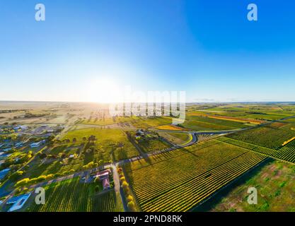 Coonawarra Landscape near Penola in Australia Stock Photo