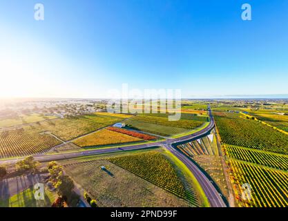 Coonawarra Landscape near Penola in Australia Stock Photo