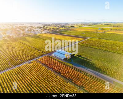 Coonawarra Landscape near Penola in Australia Stock Photo