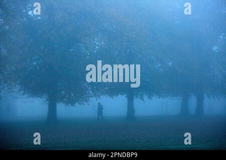 A pedestrian walks in a dense fog in a park, Ilford, East London, in the morning. Stock Photo