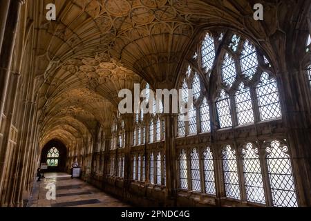 Gloucester, UK. 13th April, 2023. The famous Cloister of Gloucester Cathedral is one of the world's most significant examples of medieval architecture, noted in particular for its late 14th century fan-vaulting. Credit: Mark Kerrison/Alamy Live News Stock Photo