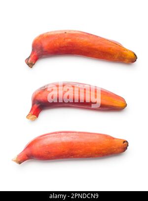Tasty red bananas isolated on the white background. Stock Photo
