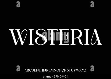 Unique and elegant alphabets display font vector illustration Stock Vector