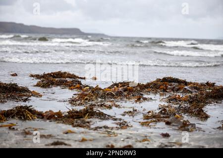 Misty view of seaweed on beach at Loch Brittle near Culnamean, Isle of Skye, Scotland Stock Photo