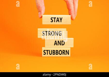 Stay strong and stubborn symbol. Concept words Stay strong and stubborn on wooden block. Beautiful orange table orange background. Motivational busine Stock Photo