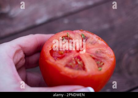 Tomato seeds sprouting inside a ripe tomato. Stock Photo