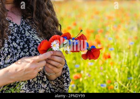 A long-haired curly woman weaves a wreath of wildflowers, poppies, daisies and cornflowers. Stock Photo