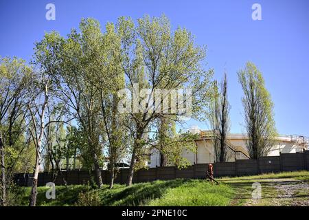 Path  on an embankment next to a boundary wall of an industrial complex in a forest Stock Photo